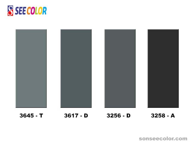 Màu phào chỉ đẹp hợp với màu ghi sáng