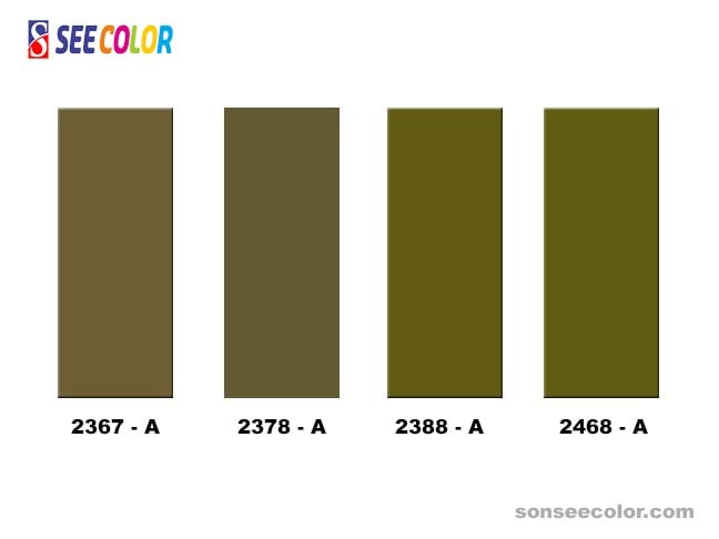 Sơn ngoài trời màu vàng hợp với một số màu phào chỉ trên đây