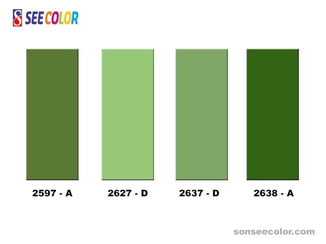 Màu phào chỉ ngoài trời hợp với màu xanh lá cây