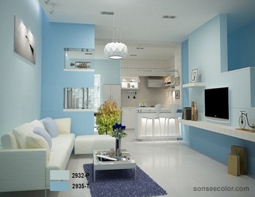 Người mệnh thuỷ hợp  mệnh màu sơn màu xanh dương 