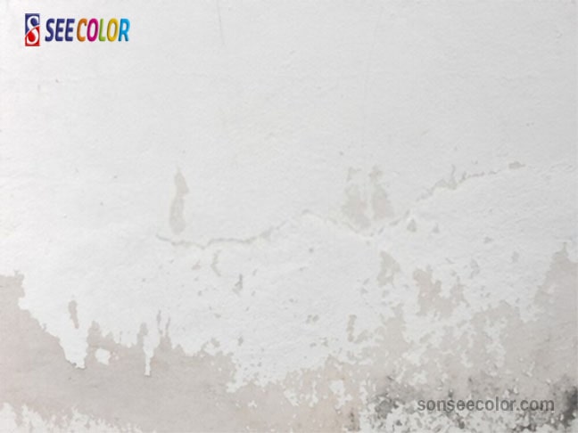 Cần phải vệ sinh cẩn thận tường vôi ve cũ trước khi sơn lại