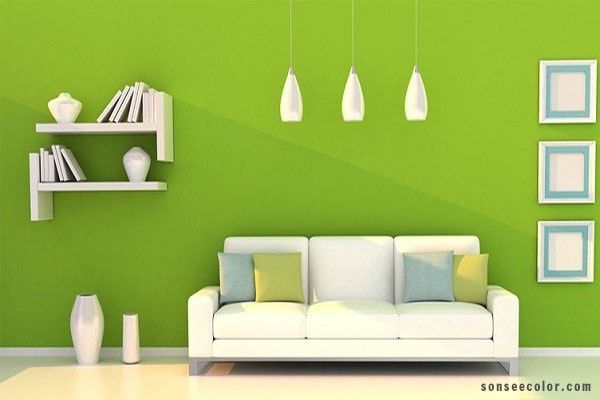 Màu sơn nhà cho người mệnh mộc
